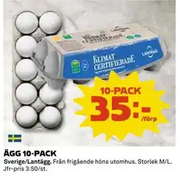 Coop Daglivs ÄGG 10-PACK, SEK 35 erbjuda
