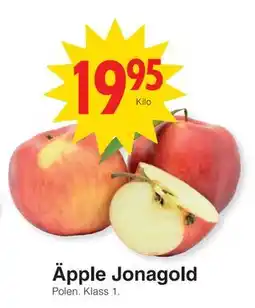 Matöppet Äpple Jonagold, SEK 19.95 erbjuda