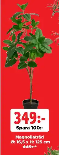 Jem&Fix Magnoliaträd, SEK 349 erbjuda