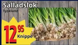 Supergrossen Salladslök, SEK 12.95 erbjuda