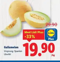 Lidl Galiamelon Ursprung: Spanien Lösvikt erbjuda