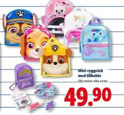 Lidl Mini-ryggsäck med tillbehör erbjuda