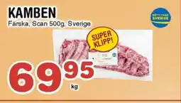 Nya Pulsen Kamben erbjuda