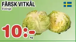 Nya Pulsen Färsk vitkål erbjuda