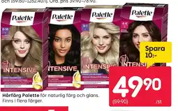 Rusta Hårfärg Palette för naturlig färg och glans. erbjuda