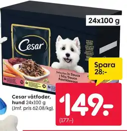 Rusta Cesar våtfoder, hund erbjuda