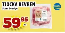 TJOCKA REVBEN Scan, Sverige