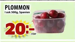 Matvärlden Tensta PLOMMON I ask , Spanien erbjuda