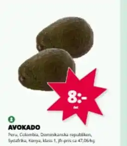 Tempo AVOKADO erbjuda