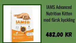 Zooplus IAMS": Advanced Nutrition your cat needs erbjuda