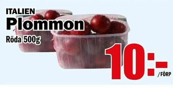Matdax Plommon erbjuda