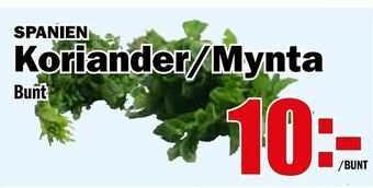 Matdax Koriander/Mynta erbjuda