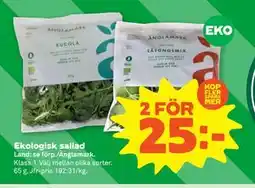 Stora Coop Ekologisk sallad, SEK 25 erbjuda