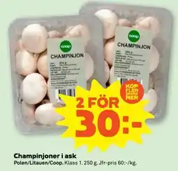 Stora Coop Champinjoner i ask, SEK 30 erbjuda