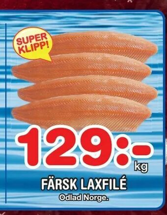Nya Pulsen Färsk laxfilé erbjuda