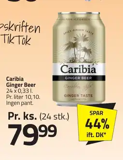 Fleggaard CARIBIA Ginger Beer erbjuda