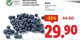 Lidl Blåbär, SEK 29.9 erbjuda