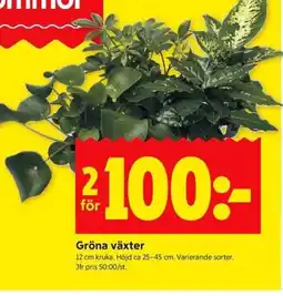 ICA Kvantum Gröna växter erbjuda