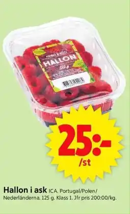 ICA Supermarket ICA Hallon i ask erbjuda