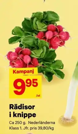 City Gross Rädisor i knippe, SEK 9.95 erbjuda