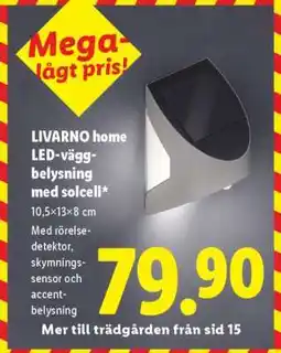 Lidl LIVARNO home LED-väggbelysning med solcell erbjuda