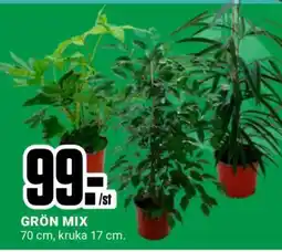ÖoB GRÖN MIX erbjuda