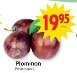 Matöppet Plommon, SEK 19.95 erbjuda