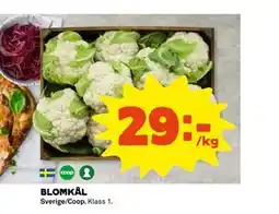 Coop Daglivs BLOMKÅL, SEK 29 erbjuda