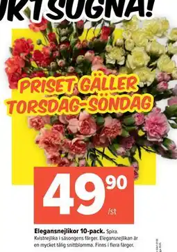 Coop Extra Elegansnejlikor 10-pack, SEK 49.9 erbjuda
