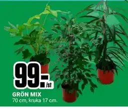 ÖoB GRÖN MIX, SEK 99 erbjuda