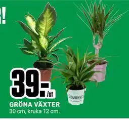 ÖoB GRÖNA VÄXTER, SEK 39 erbjuda