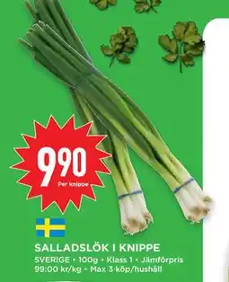 Willys Hemma SALLADSLÖK I KNIPPE, SEK 9.9 erbjuda