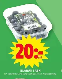 ICA Maxi ICA Blåbär i ask erbjuda