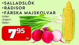 Matrix Butikerna Salladslök • rädisor • färska majskolvar erbjuda