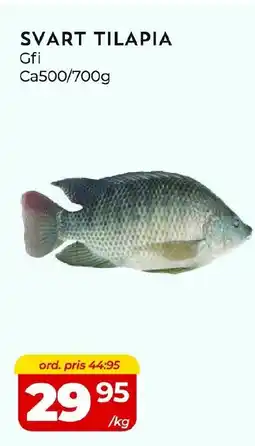 Matrix Butikerna Svart tilapia erbjuda