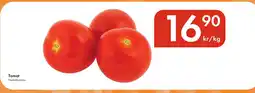 Snabbgross Tomat erbjuda