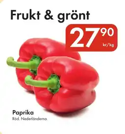 Snabbgross Paprika erbjuda