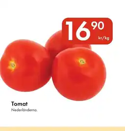 Snabbgross Tomat erbjuda