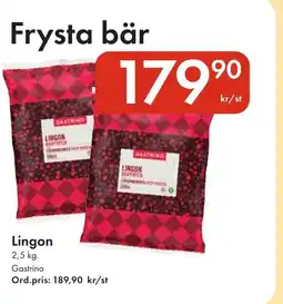 Snabbgross GASTRINO Lingon erbjuda