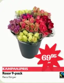 Hemköp Rosor 9-pack erbjuda