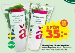 Stora Coop Ekologiska färska kryddor, SEK 35 erbjuda