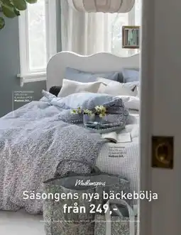 Hemtex Säsongens nya bäckebölja, Medlemspris erbjuda