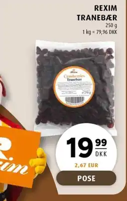 Scandinavian Park REXIM TRANEBÆR erbjuda