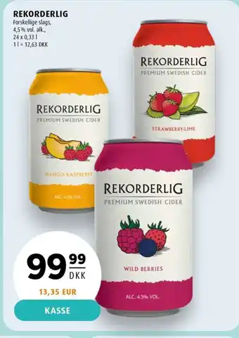 Scandinavian Park REKORDERLIG erbjuda