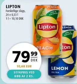 Scandinavian Park LIPTON erbjuda