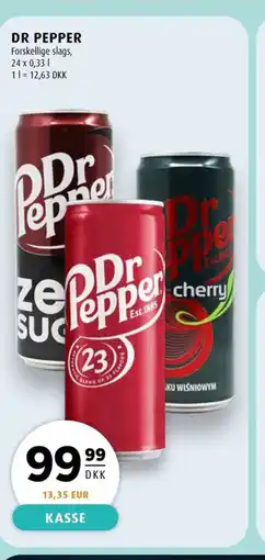 Scandinavian Park DR PEPPER erbjuda