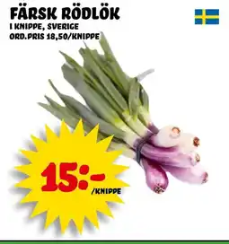 Nelins Färsk rödlök erbjuda
