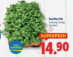 Lidl Basilika XXL, SEK 14.9 erbjuda