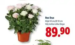 Lidl Ros Duo, SEK 89.9 erbjuda