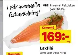 City Gross Laxfilé, SEK 169 erbjuda